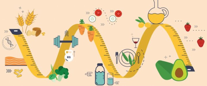 metabolismo-cosa-e-come-funziona-cosa-c-entra-con-il-dimagrire-3234587693[1920]x[799]780x325